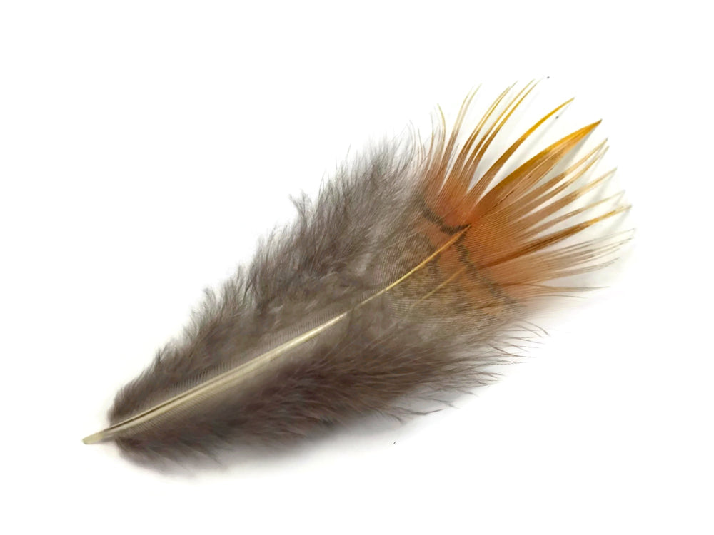 1 Yard - Natural Yellow Golden Pheasant Plumage Body Feather Trim