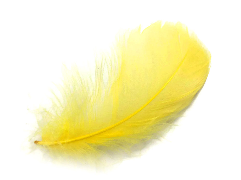 1/4 Lb - 2-3" Yellow Goose Coquille Loose Wholesale Feathers (Bulk)