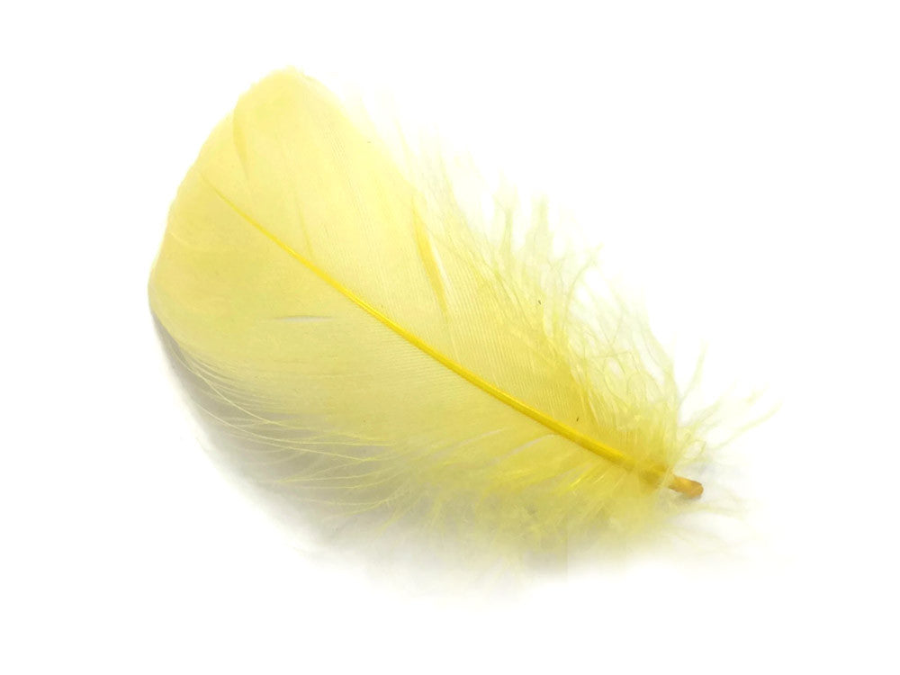 1/4 Lb - 2-3" Yellow Goose Coquille Loose Wholesale Feathers (Bulk)