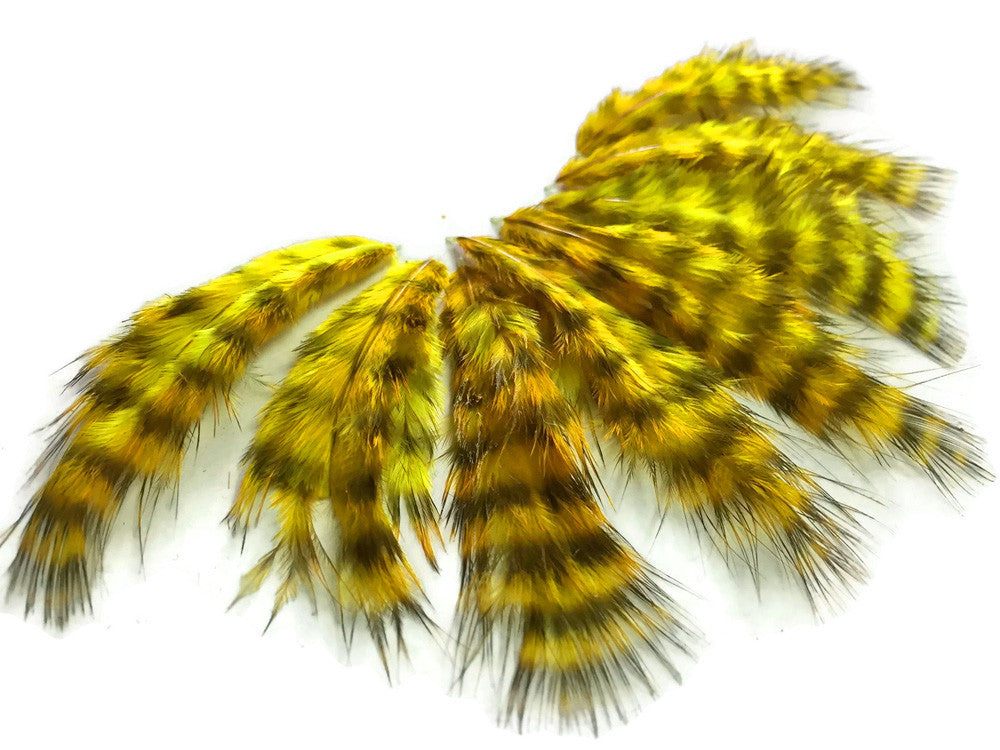 1 Dozen - Yellow Grizzly Mini Rooster Chickabou Fluff Whiting Hair Feathers