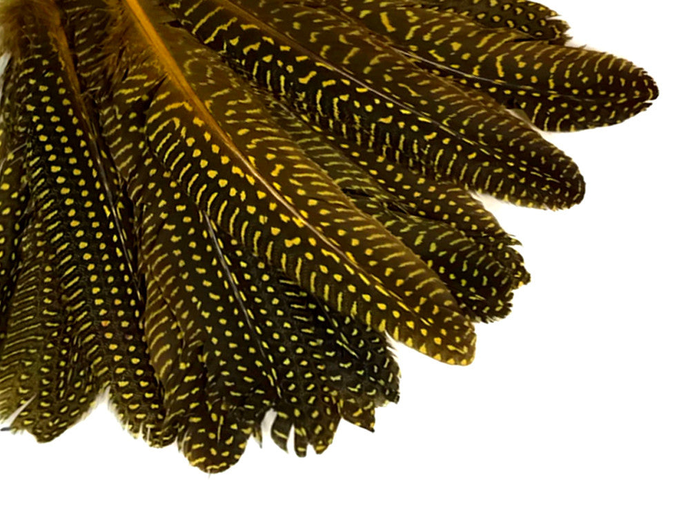 1/8 lb. Yellow Polka Dot Guinea Fowl Wing Quills Wholesale Feathers (Bulk)