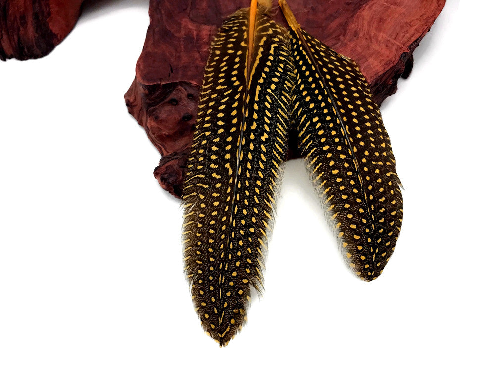 10 Pieces - Dyed Yellow Polka Dot Guinea Fowl Wing Quill Feathers