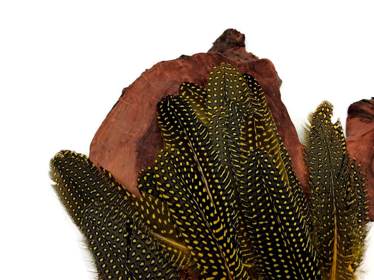 Wing discount Feathers, 1 Lb - Yellow Turkey Rounds Wing Quill Wholesale Feathers (Bulk) Halloween Craft Supplier : 4938