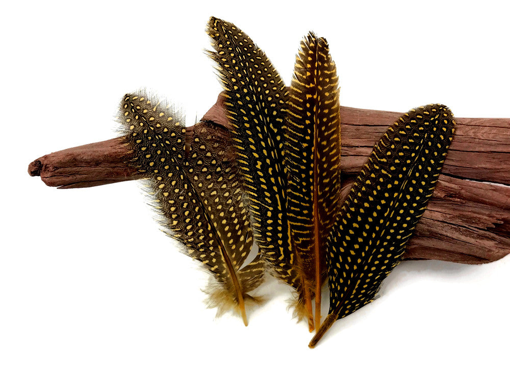 10 Pieces - Dyed Yellow Polka Dot Guinea Fowl Wing Quill Feathers