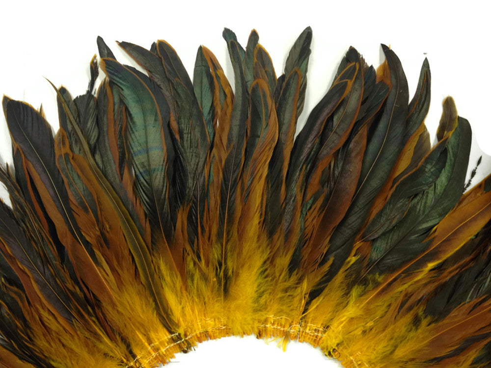 1/2 Yard - Yellow Gold Half Bronze Natural Dyed Coque Tail Strung Wholesale Feathers (Bulk)