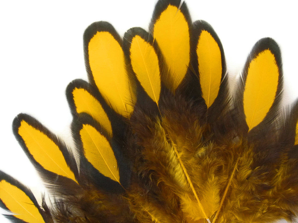 1 Dozen - Yellow Whiting Farms Laced Hen Saddle Feathers