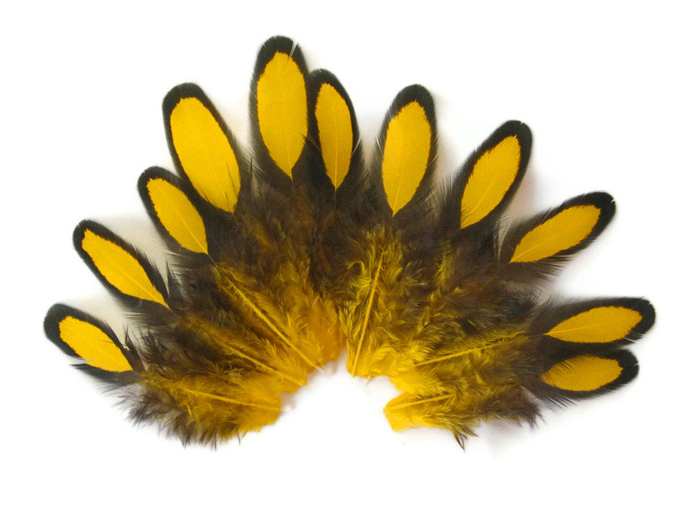 1 Dozen - Yellow Whiting Farms Laced Hen Saddle Feathers