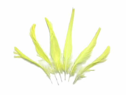 4 Pieces - Yellow Sulphur-Crested Cockatoo Topknot Feather