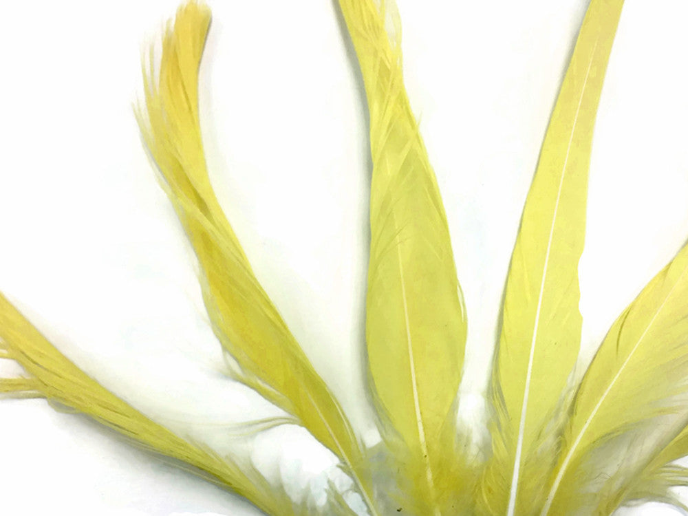 4 Pieces - Yellow Sulphur-Crested Cockatoo Topknot Feather