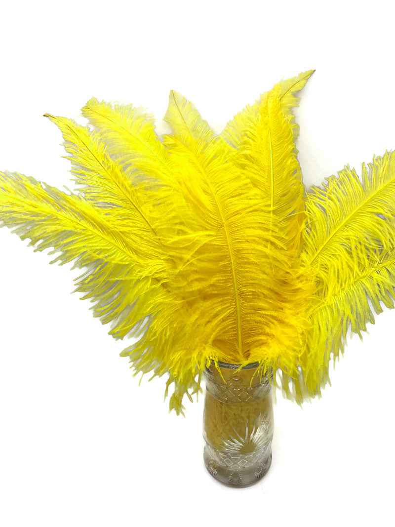 10 Pieces - 20-28" Yellow Ostrich Spads Large Wing Feathers