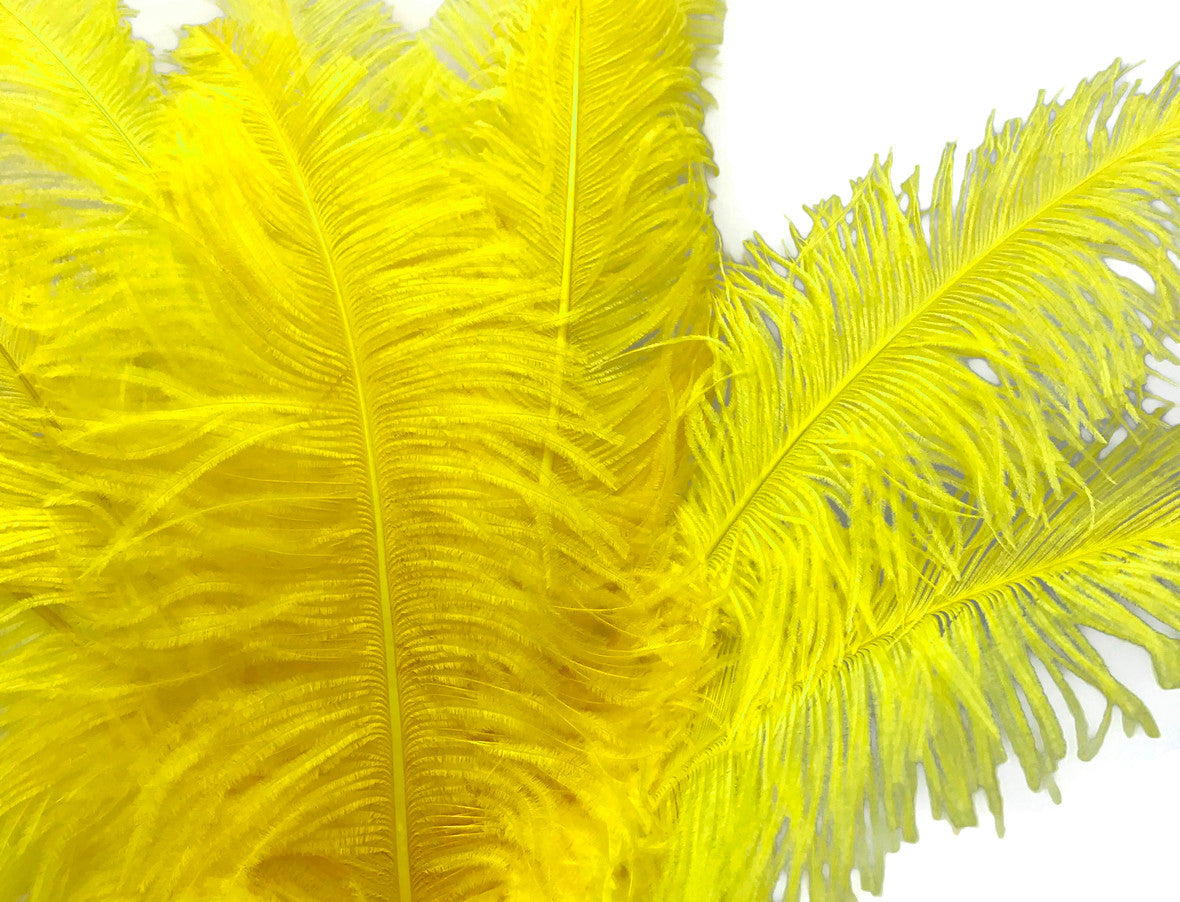 1/2 Lb - Yellow Large Ostrich Spads Wholesale Feathers 20-28" (Bulk)