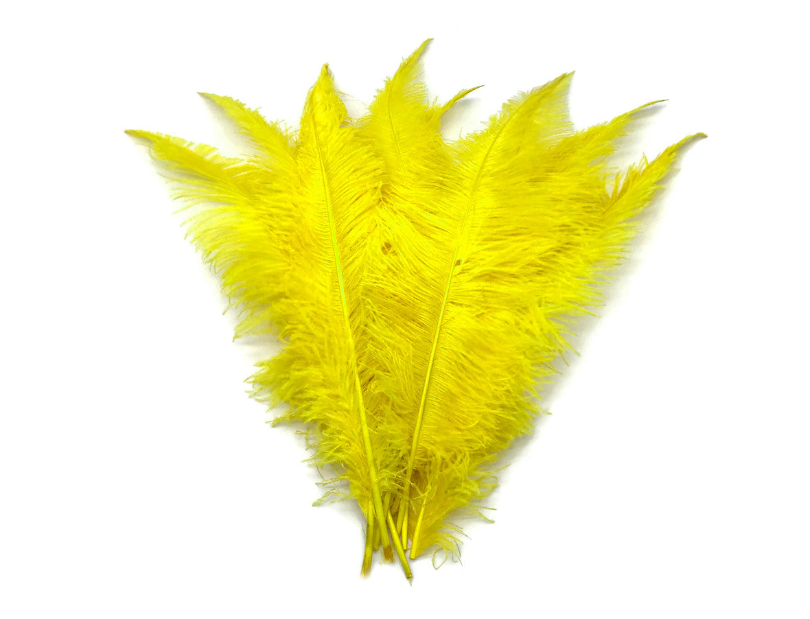 10 Pieces - 20-28" Yellow Ostrich Spads Large Wing Feathers