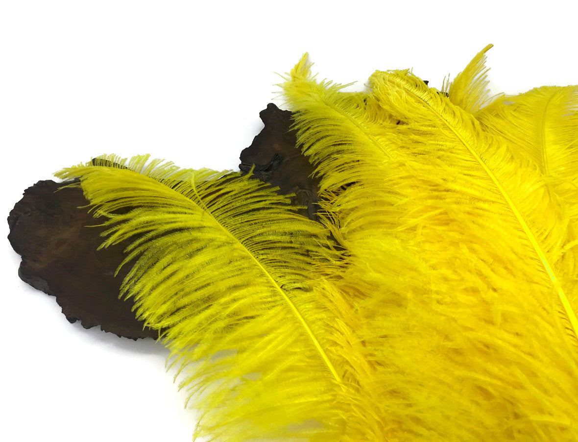 10 Pieces - 20-28" Yellow Ostrich Spads Large Wing Feathers