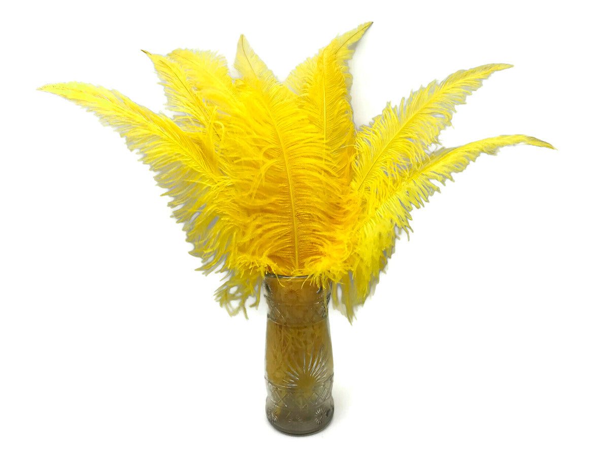 1/2 Lb - Yellow Large Ostrich Spads Wholesale Feathers 20-28" (Bulk)