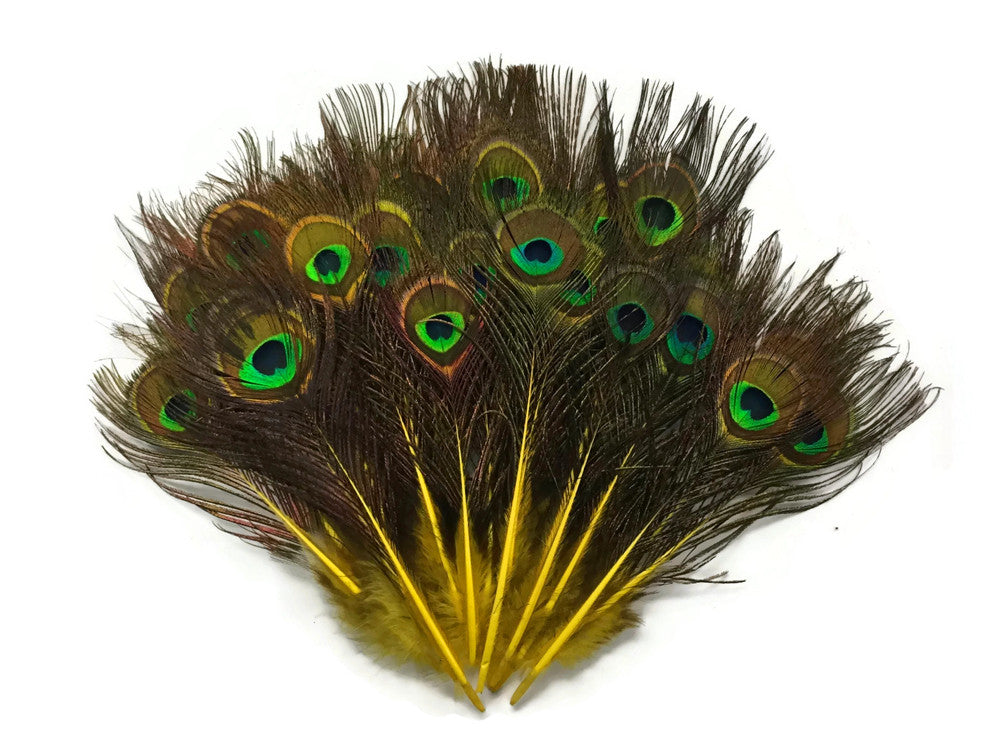 10 Pieces - Yellow Mini Natural Peacock Tail Body Feathers With Eyes