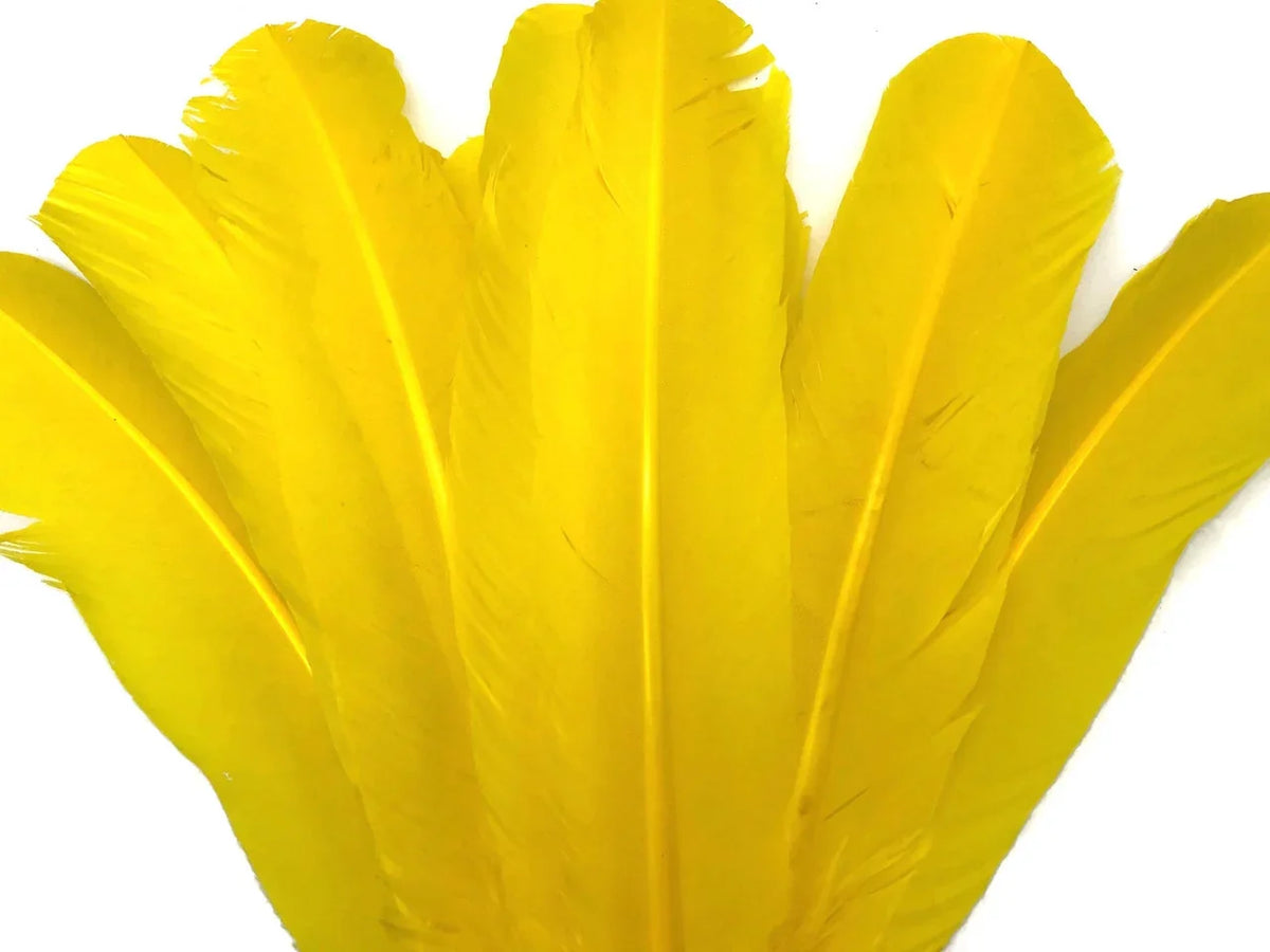 Vibrant yellow feathers arranged in a fan shape for DIY crafts and fashion décor.