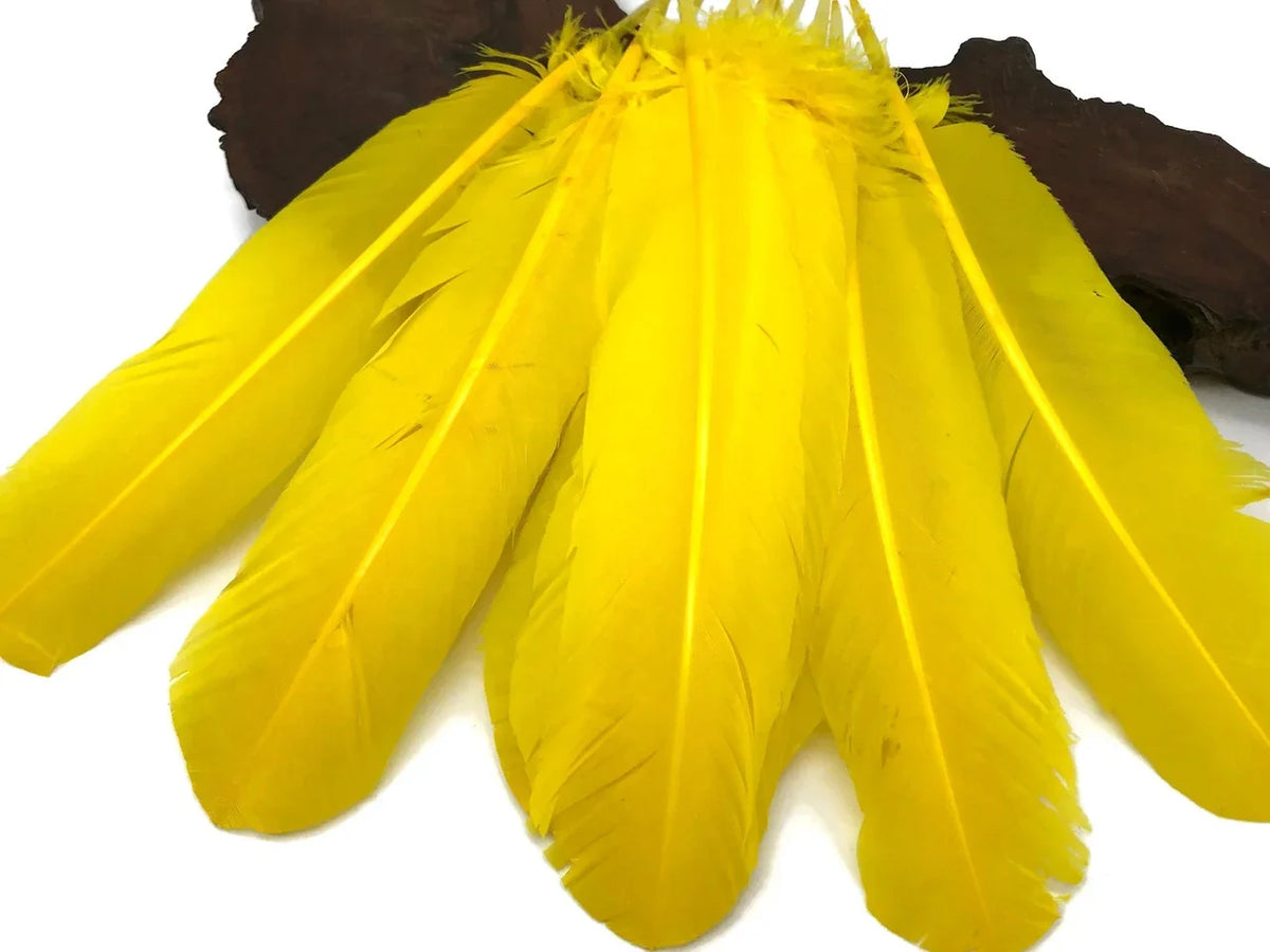 Vibrant yellow craft feathers arranged in a fan shape for DIY fashion and décor.