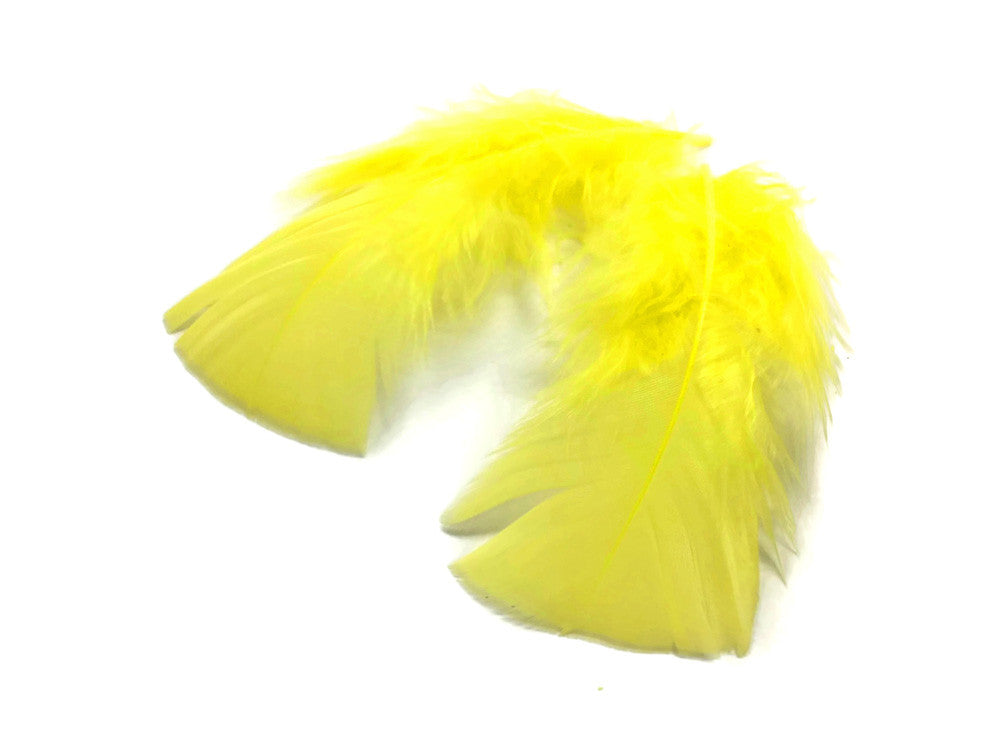 1/4 Lb - Yellow Turkey T-Base Wholesale Body Plumage Feathers (Bulk)